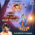 Sharan Teri Aayo Banke Bihari - Pappu Sharma Song Download